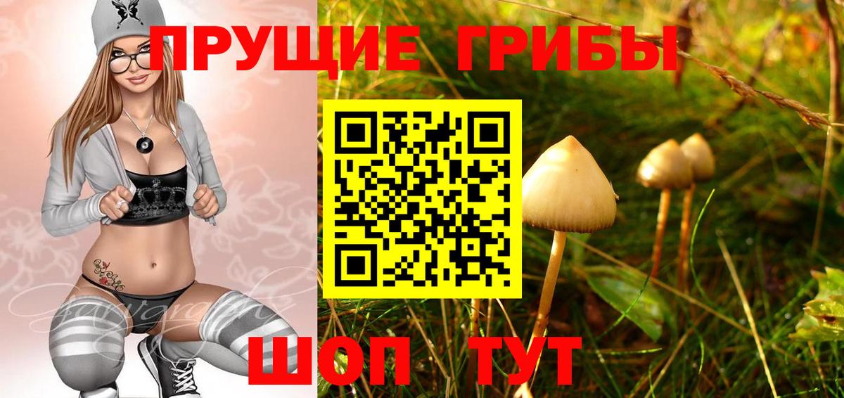 Ливны  Псилоцибиновые грибы мицелий  купить наркоту  Вход с VPN 