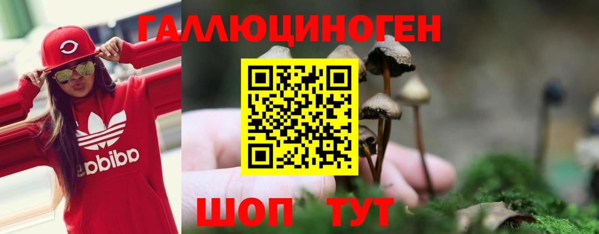 Псилоцибиновые грибы Psilocybe Ливны